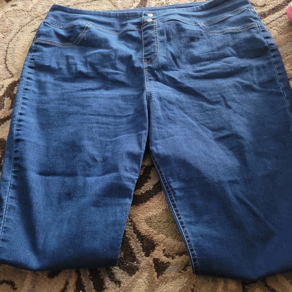 Terra and sky jeggings